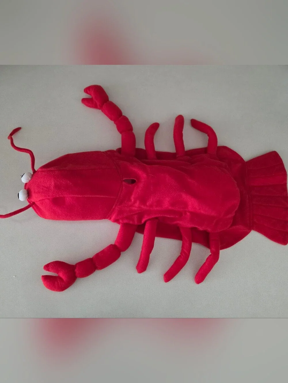 Casual Canine Lobster Paws Dog Costume Small Excellent Condition